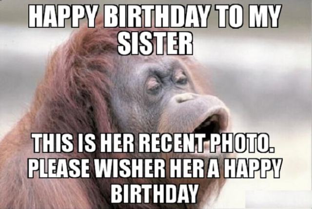 Funny Birthday Wishes for a Sister
